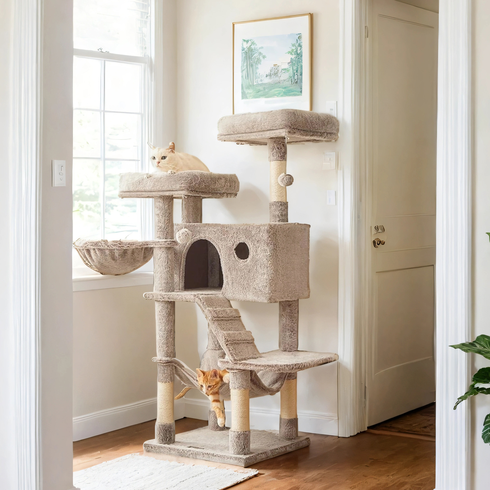TEMU Arbre à Chat, Tour à Chat pour Grands Chats, Ultra-, Dégradé