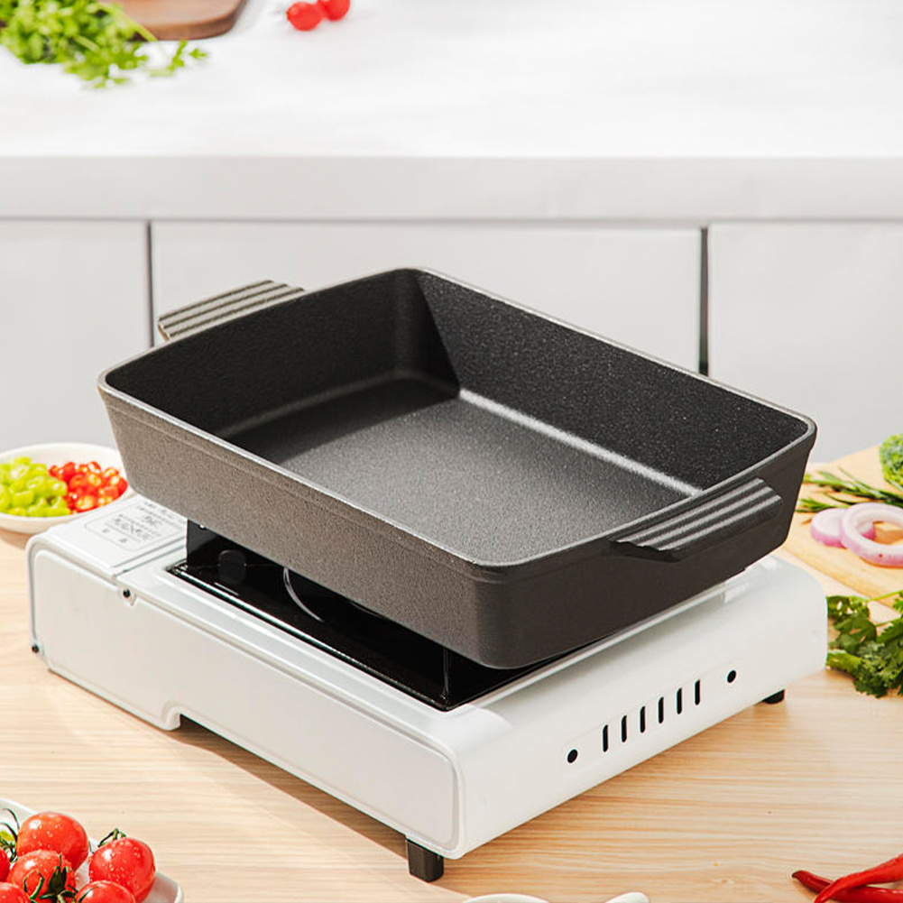 TEMU 1pc, Cast Iron Casserole Dish, Hot Pot With Double Handles For Gas Induction Electric And Oven Safe, Rectangle, 14.96*9.05*2.