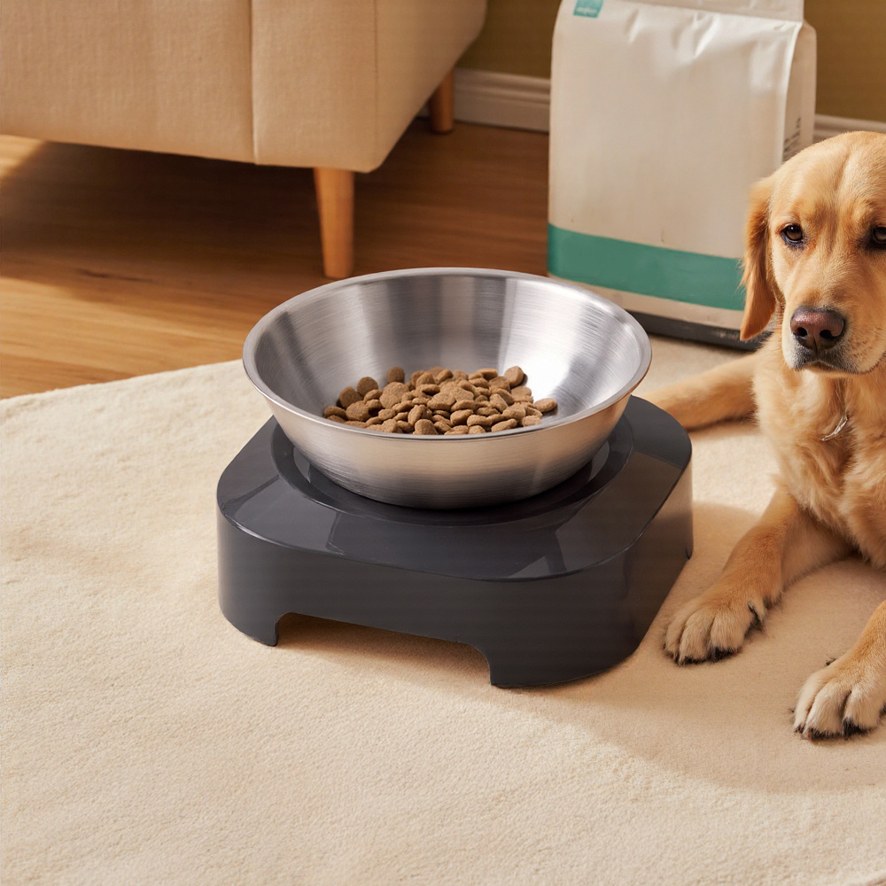 Dog Bowls with Stand, 2 Types Available, Raised Dog Bowl for Large Dogs, Dog Feeding Station with Stainless Steel Bowl