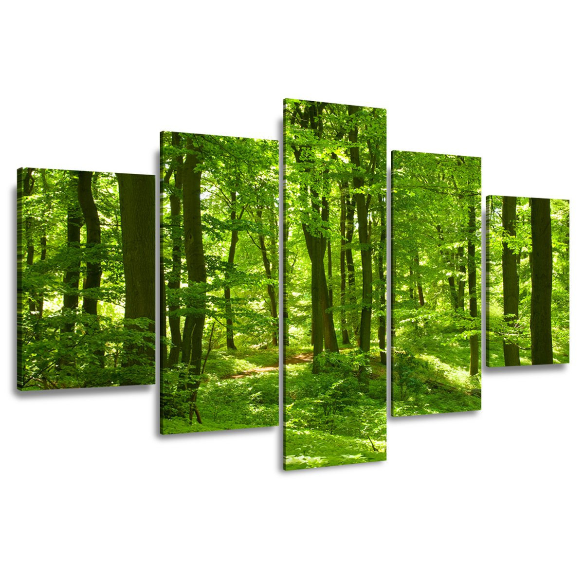 Image of Framed 150 X 80 Cm Forest Picture – Modern Art Print On Canvas | Wall Art For Living Room & Lounge | Elegant Canvas Picture – Art. No. 5507