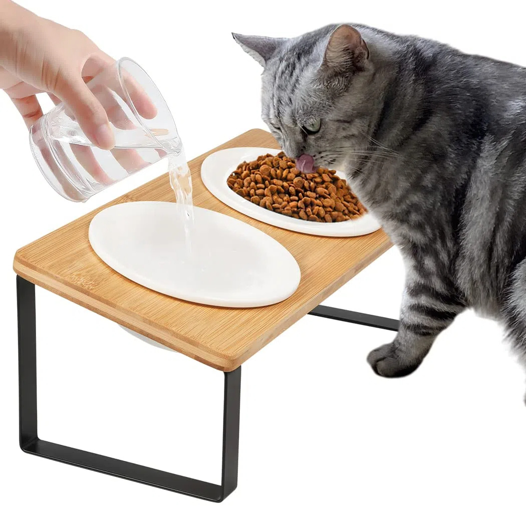 E-shop Erhöhte Katzenfutter- und Wasserschüssel, Keramik-Katzenfutterschüssel, Katzenfütterer und -wasserschüsseln, Katzenfutterschüssel mit geneigtem