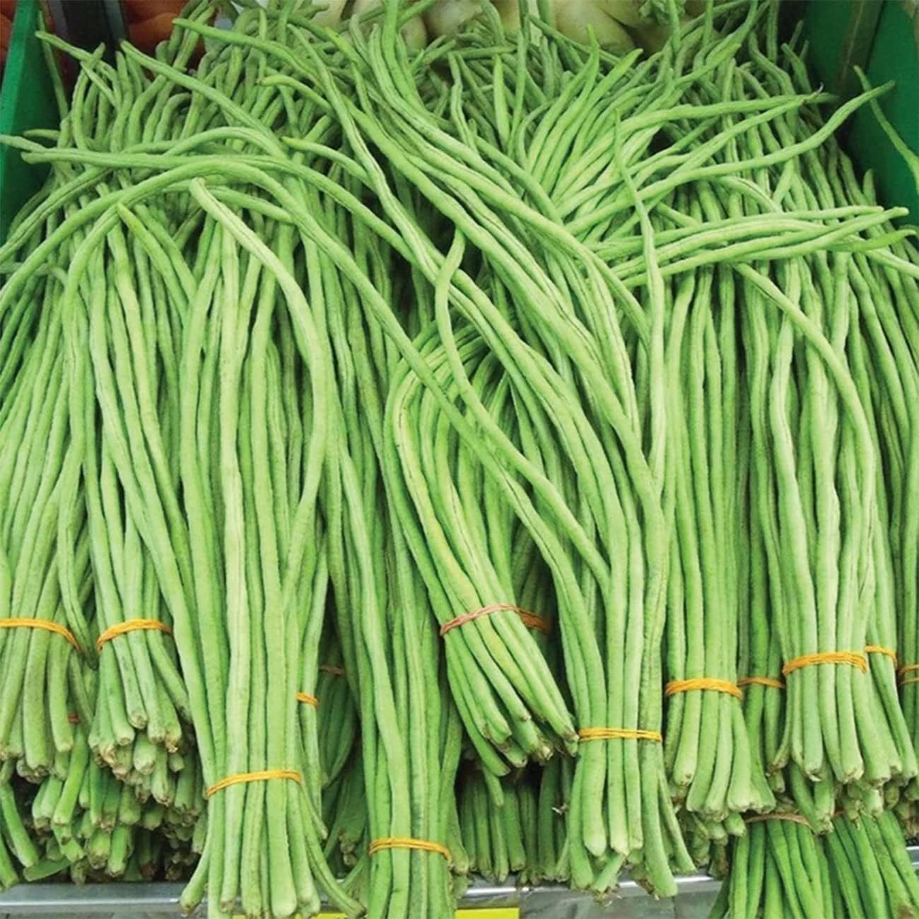 TEMU 60pcs Long Bean Seeds String Beans Green Noodle Beans Non-gmo Vegetable Seeds