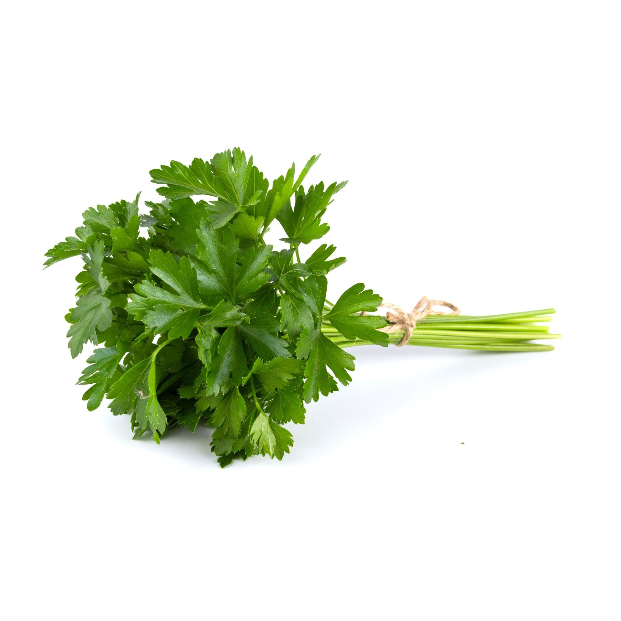 TEMU 1500+ Seeds Parsley Smooth Petroselinum Culinary