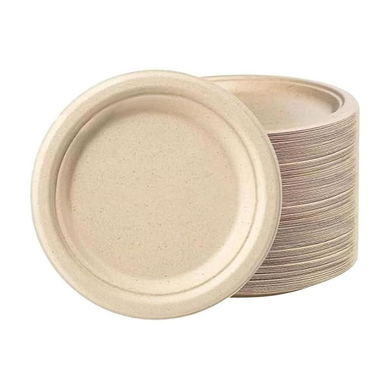 TEMU G4gadget 9 Inch Heavy Duty Bagasse Paper Plates – Pack Of 50 | Disposable Plates | Sugarcane Plates For Party, Bbq, Picnic & Events