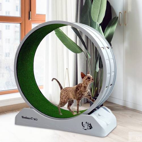cat exercise wheel cat treadmill for indoor cats running wheel with carpeted cat toy suitable for most cats plastic wheel