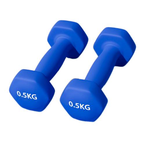 2 piece set non slip hexagonal smooth dumbbell 0 5kg 1kg 1 5kg 2kg 2 5kg 3kg 4kg 5kg 6kg blue gray unisex dumbbell set chloroprene rubber coated fixed dumbbell handheld dumbbell durable fitness equipment arm strength trainer suitable for and fitness muscle training multiple colors and weights from