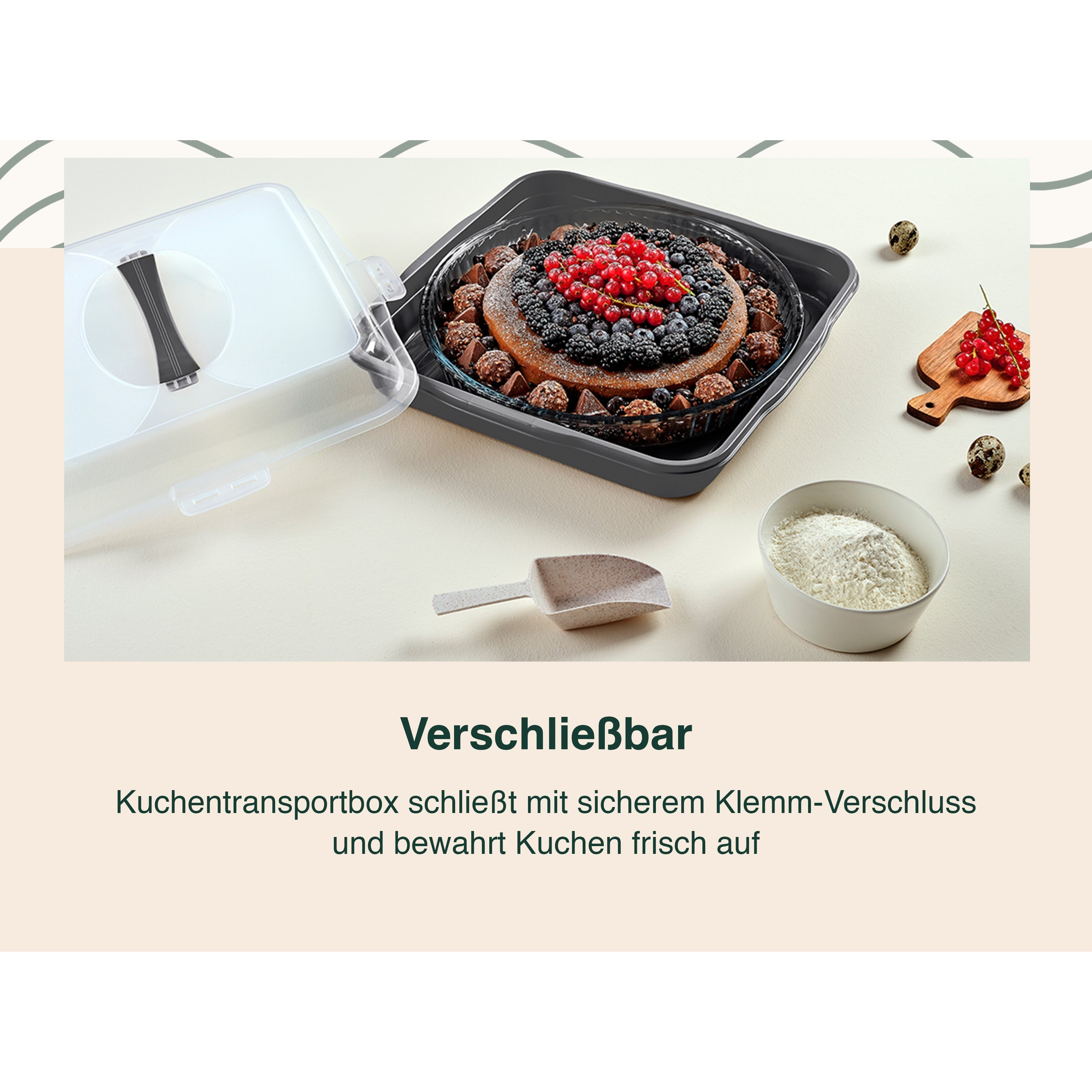 Tala Kuchenbox 25,4 X 25,4 X 15 Cm – Robuste Transportbox Für Kuchen, Gebäck & Desserts