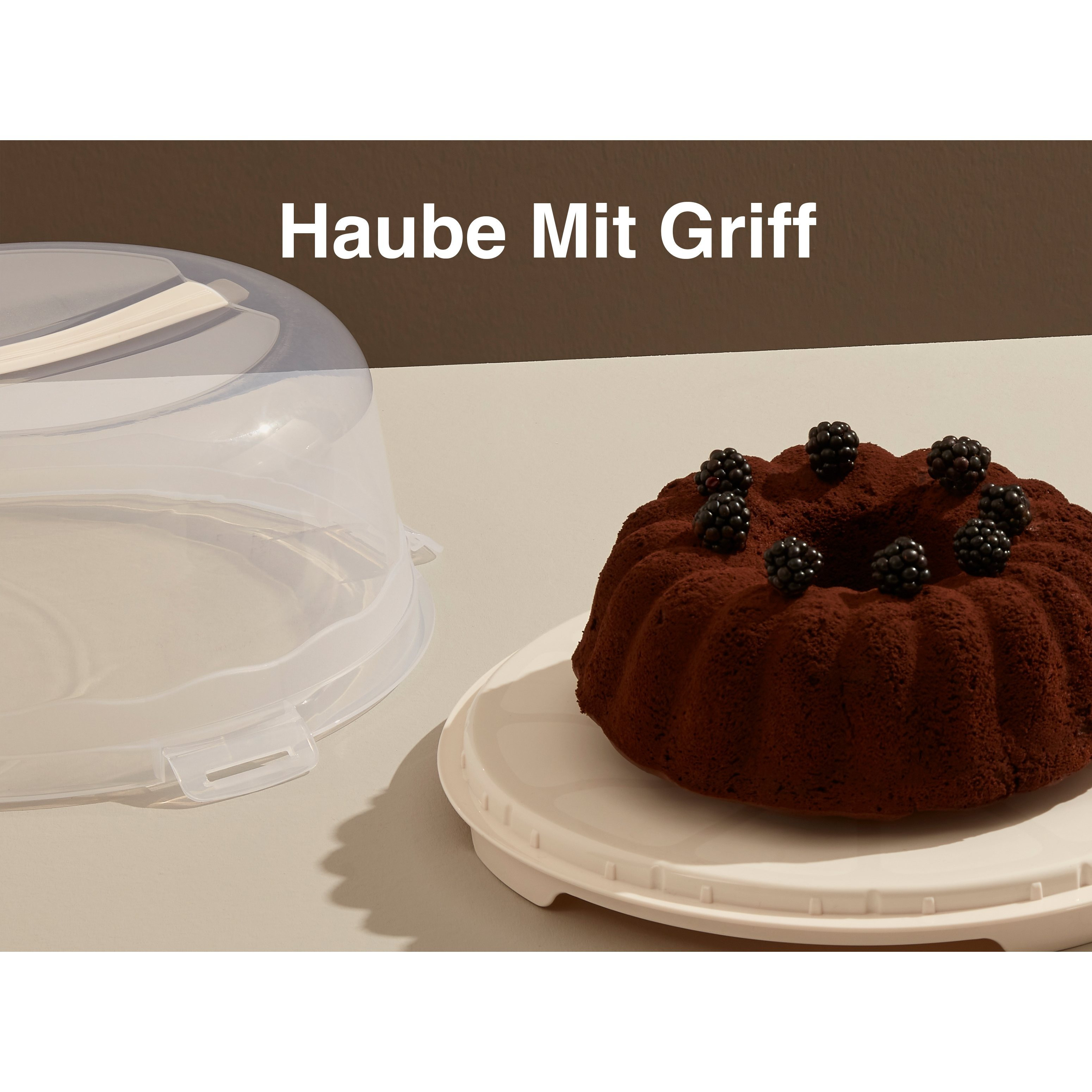 Transportbox Für Torte Wellhaus Kuchen Transportbox Rund – 30 X 15,3 Cm, Mit Deckel, Grün, Für Torten, Muffins, Blechkuchen, Praktische Aufbewahrung Und Transport