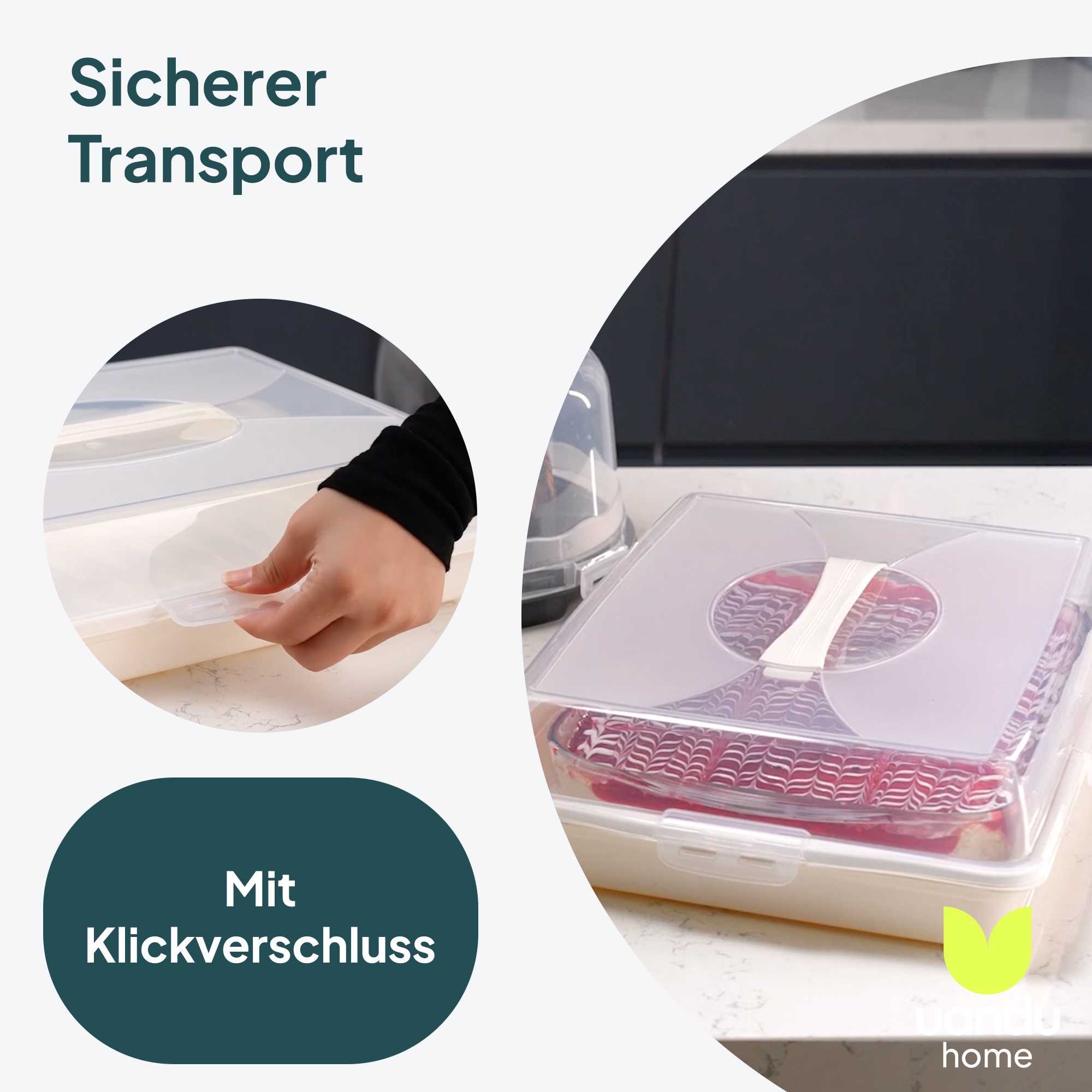 kuchen transportbox kastenform