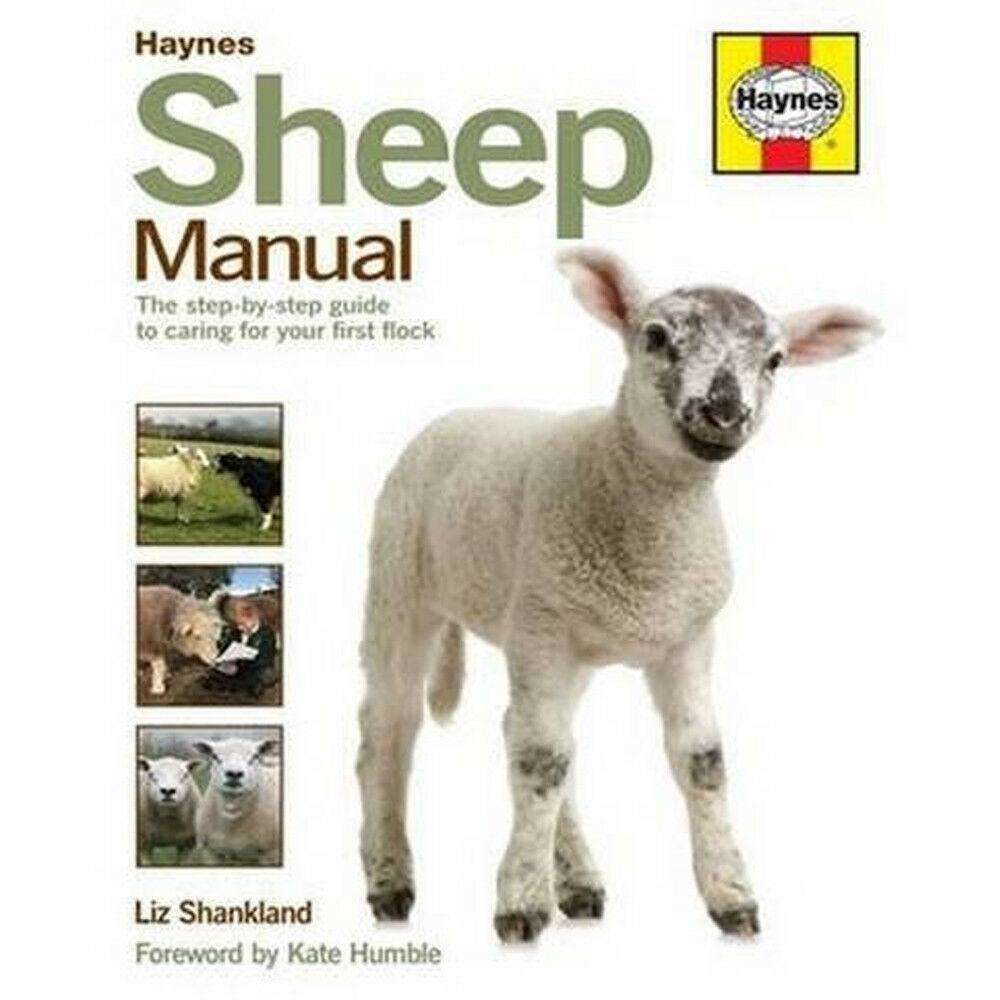 TEMU Sheep Manual The Complete Step By Step Guide To Caring For Your Flock
