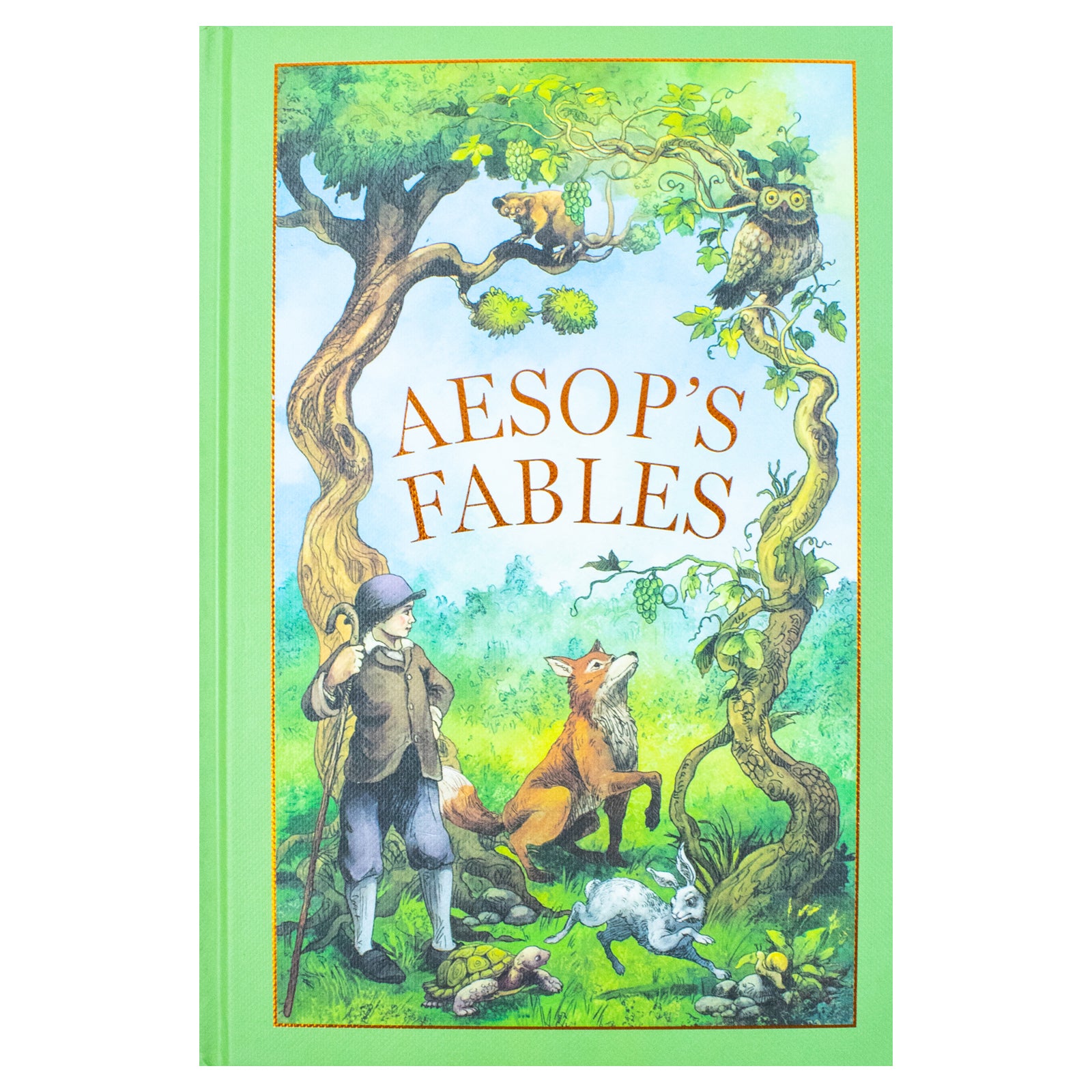 Aesop's Fables by Aesop - Classic Moral Tales for All Ages - Leather Bound Edition - Fiction