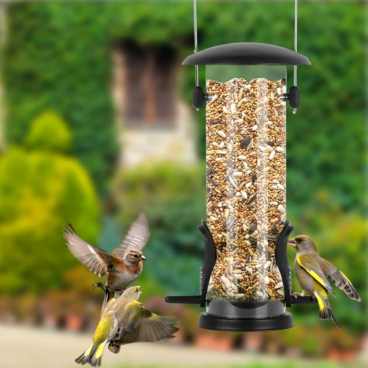 TEMU Metal Bird Feeder Hanging Wild Bird Seed Feeder For Mix Seed , Niger Seed Feeder, Sunflower Heart, Birdbath, Heavy Duty All Metal