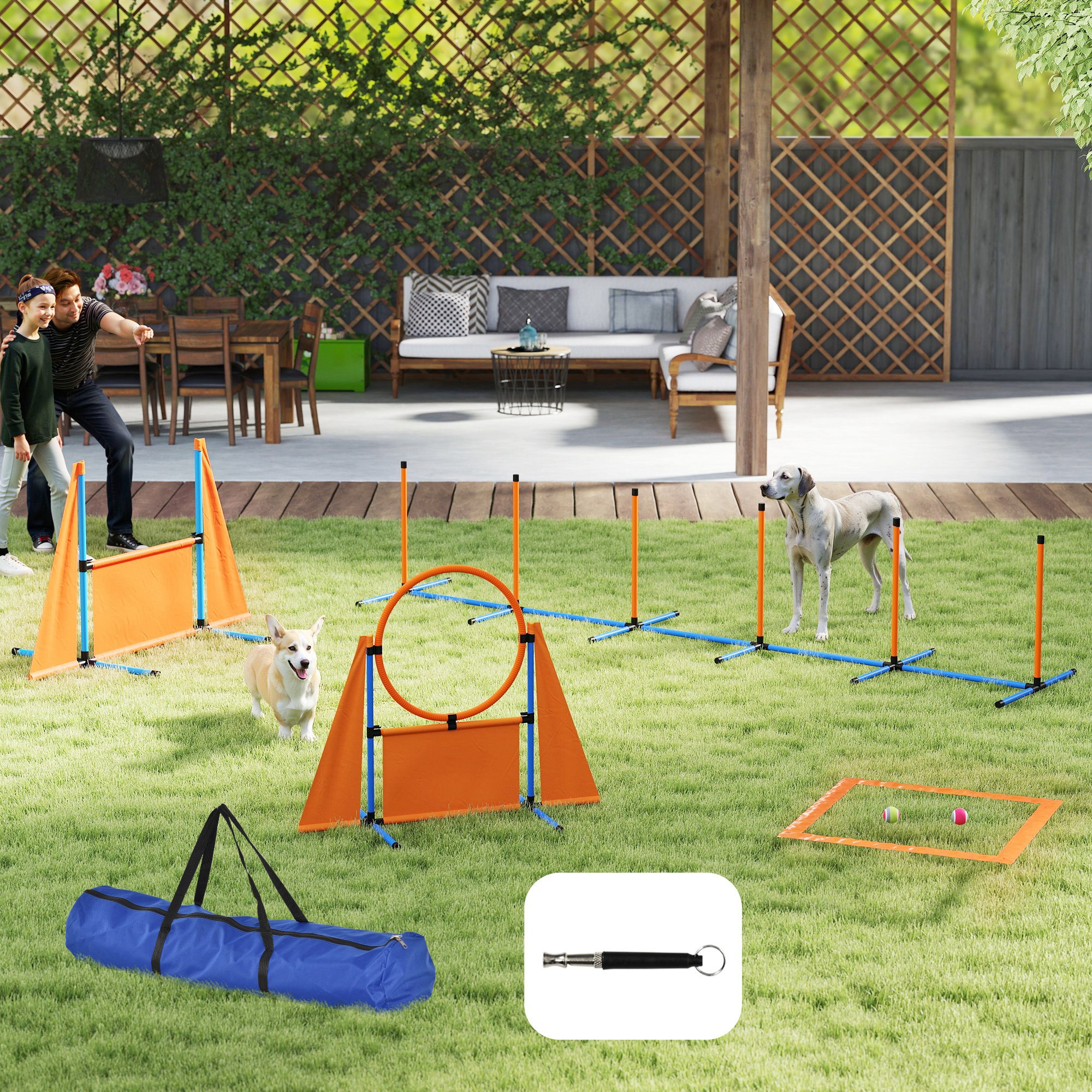 Hurdles Training Equipment Dog Agility Course Set Backyard