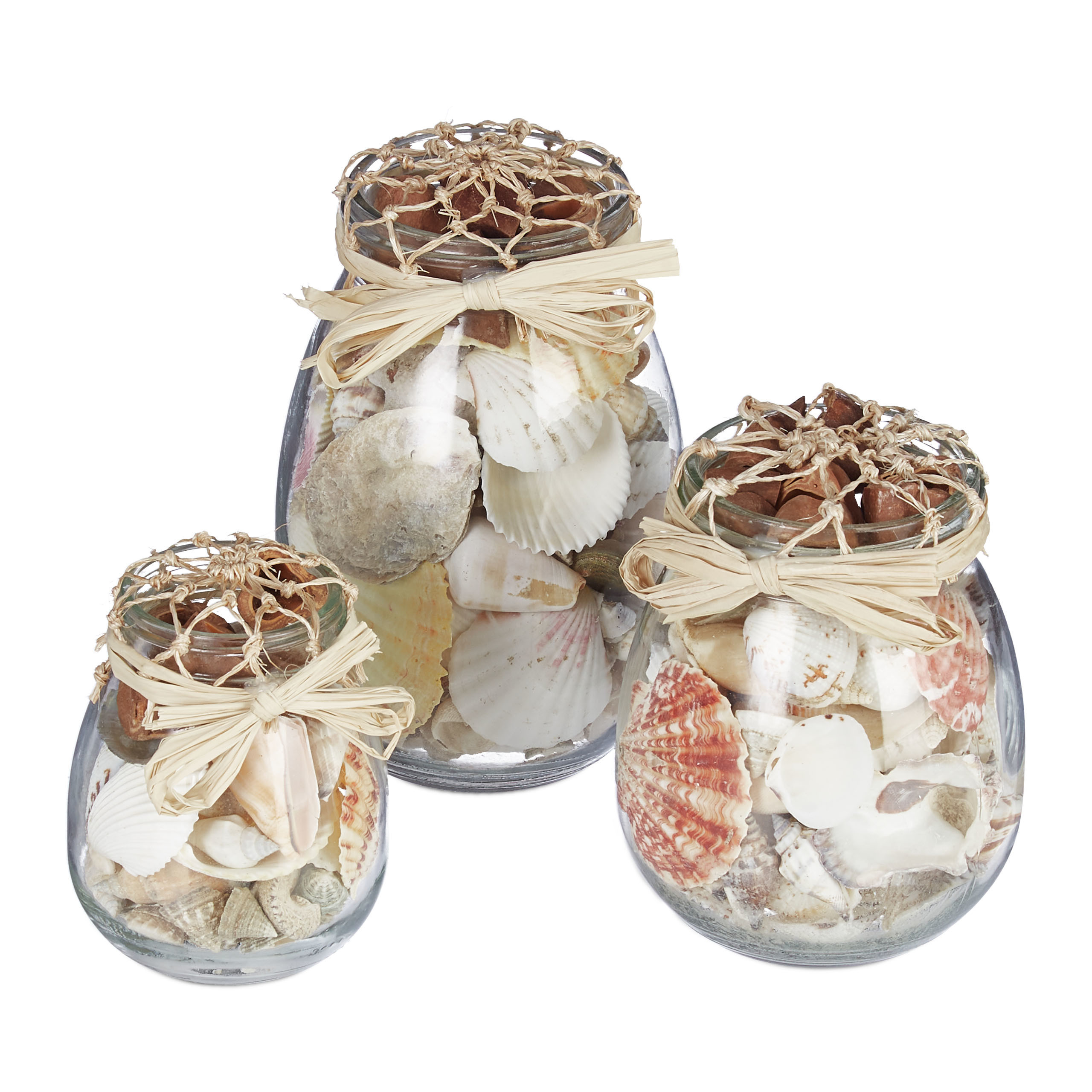 3x Natural Shell Decorations