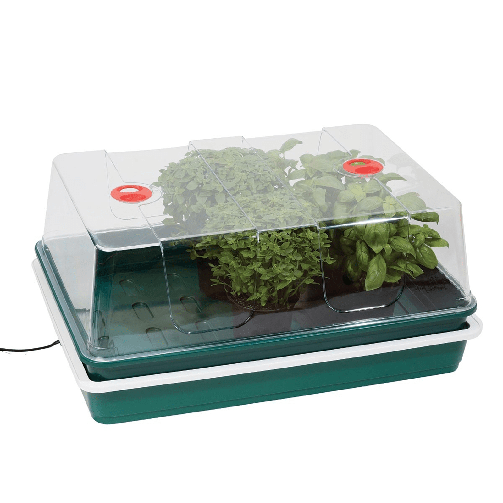 xl high dome electric propagator 24w heated seed starter tray
