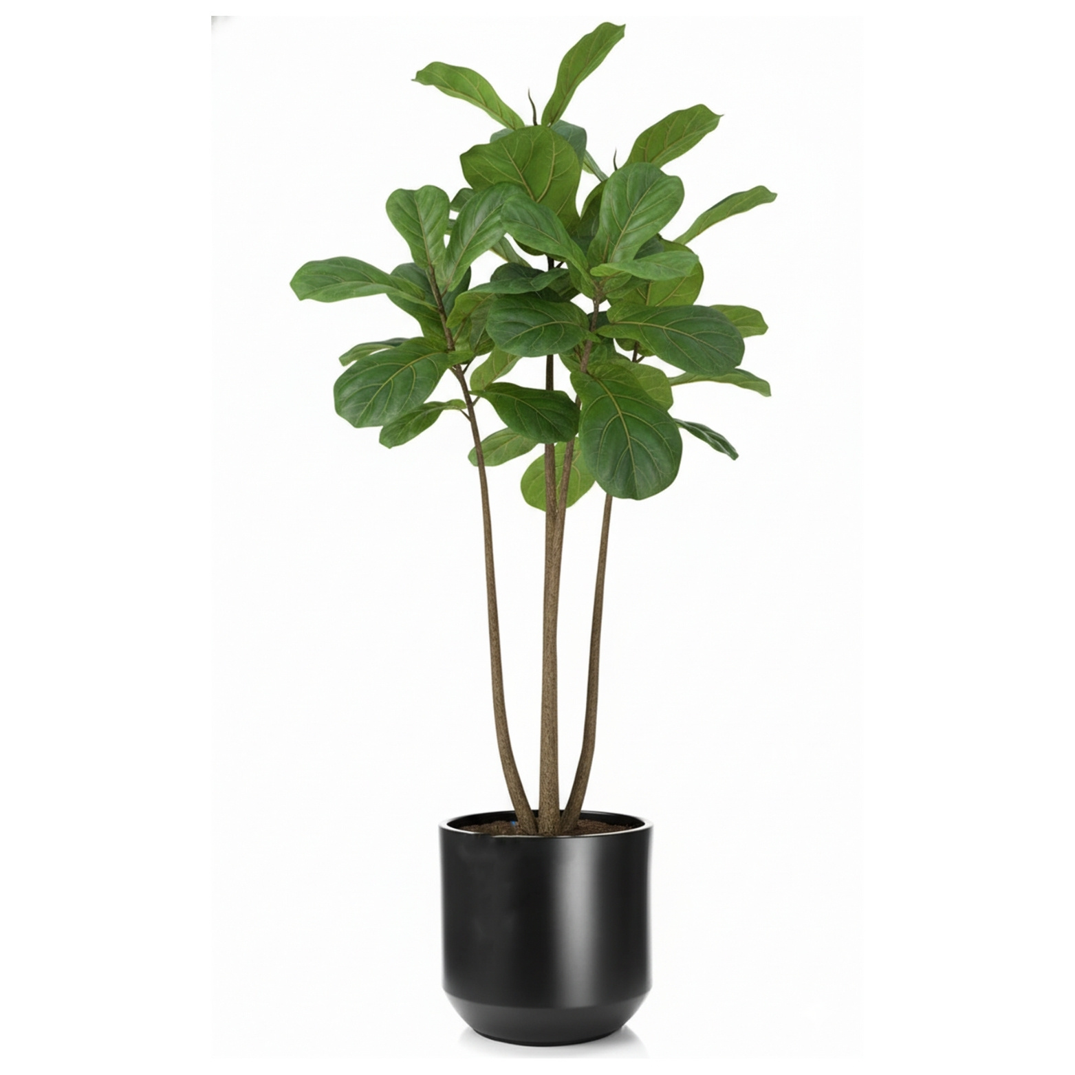 Flower Pot Ø 58 Cm With Inner Pot