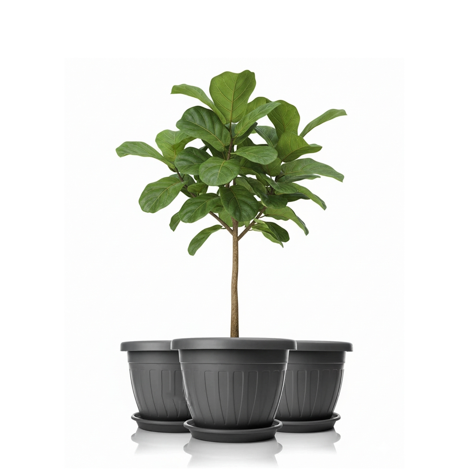 E-shop 3x Blumentopf inklusive Untersetzer ø 50 cm