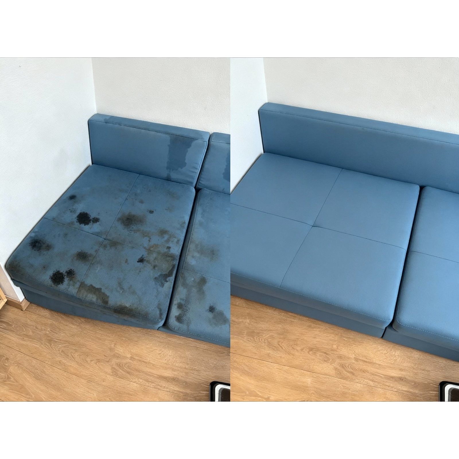 Professionele Tapijtreiniger - Vlekkenreiniger - 2 Borstels