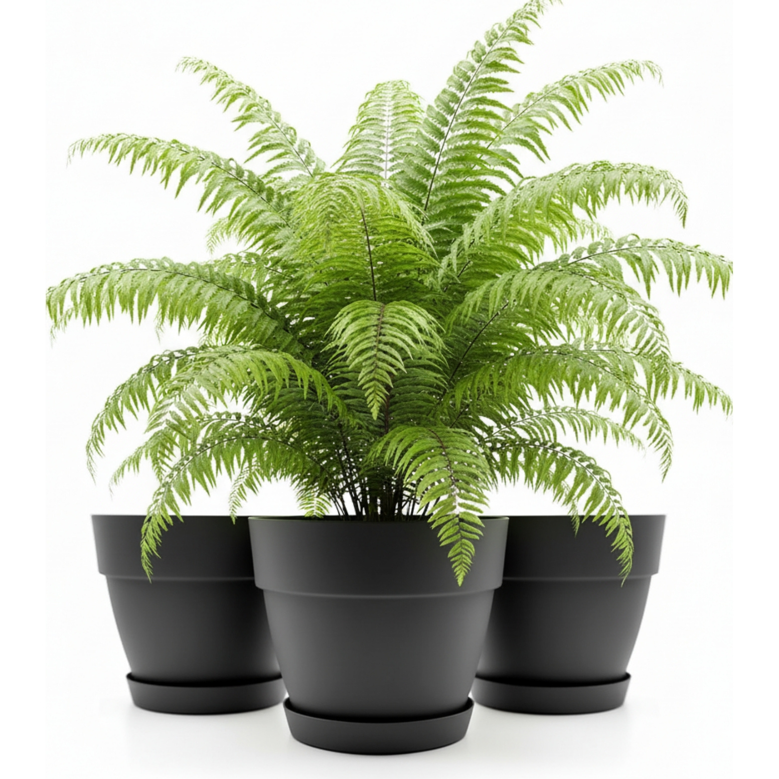 E-shop 3x Blumentopf mit Untersetzer a ø 40 cm für Innen & Außen geeignet