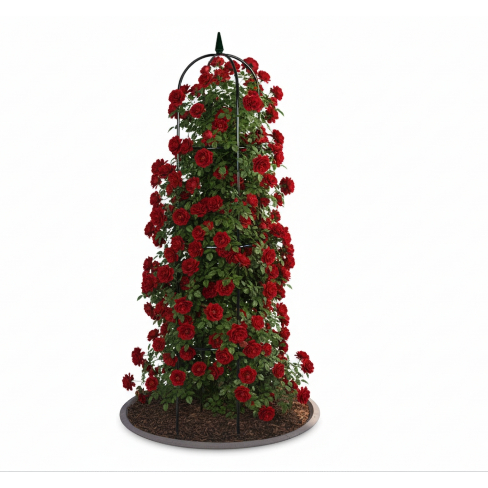 E-shop Rankgitter aus Metall Rosen Spalier Rankhilfe