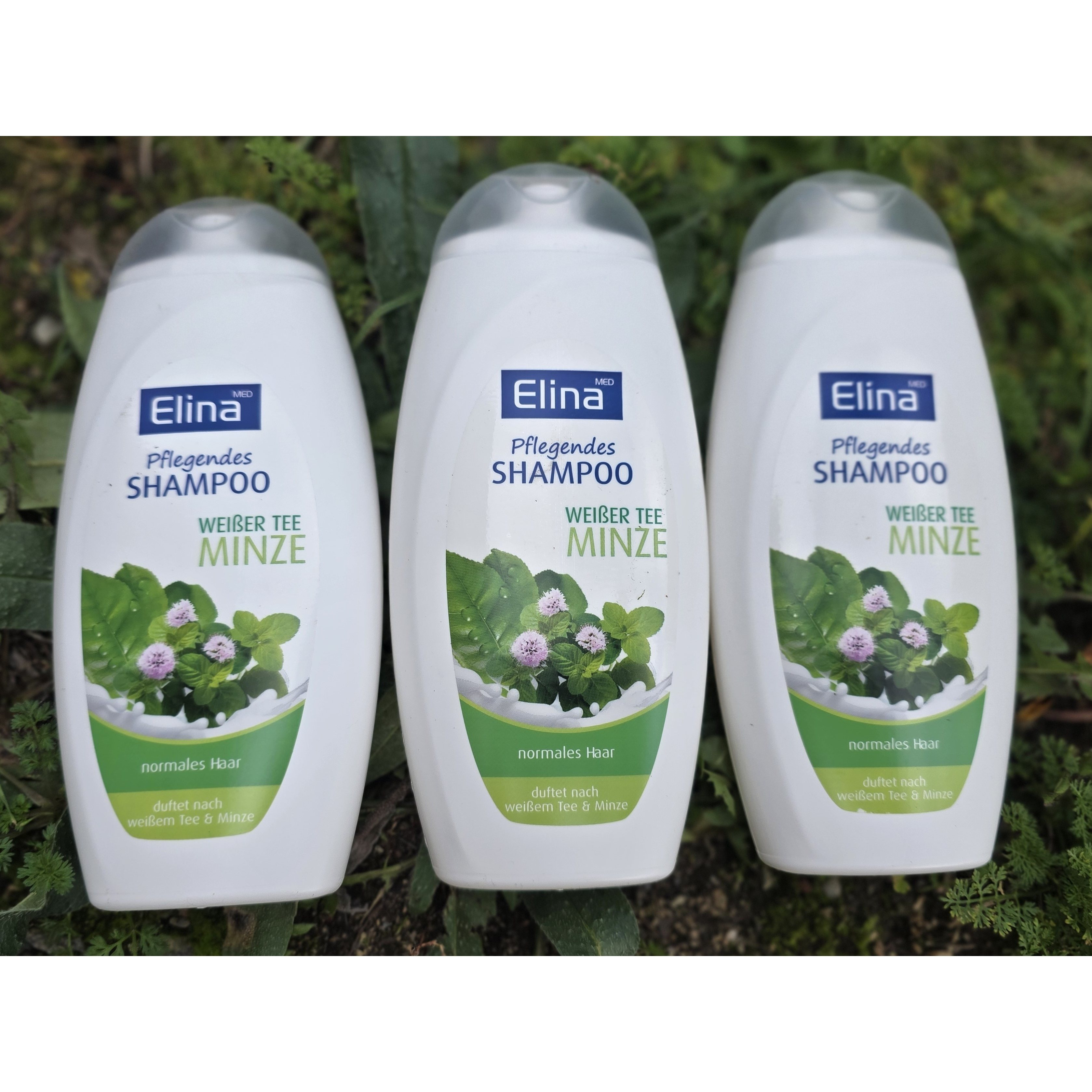 Line With Shampoo Mint 3x300 Ml Scent Of Mint / Menthol / Peppermint For Normal Hair, .