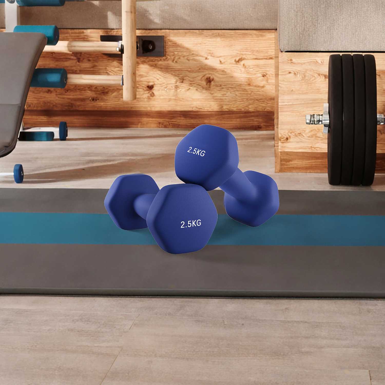 TEMU Dumbbells, 2pcs Set, .5 Kg, Dumbbell Set, Short Dumbbells, Hexagon, Neoprene Coating, Blue