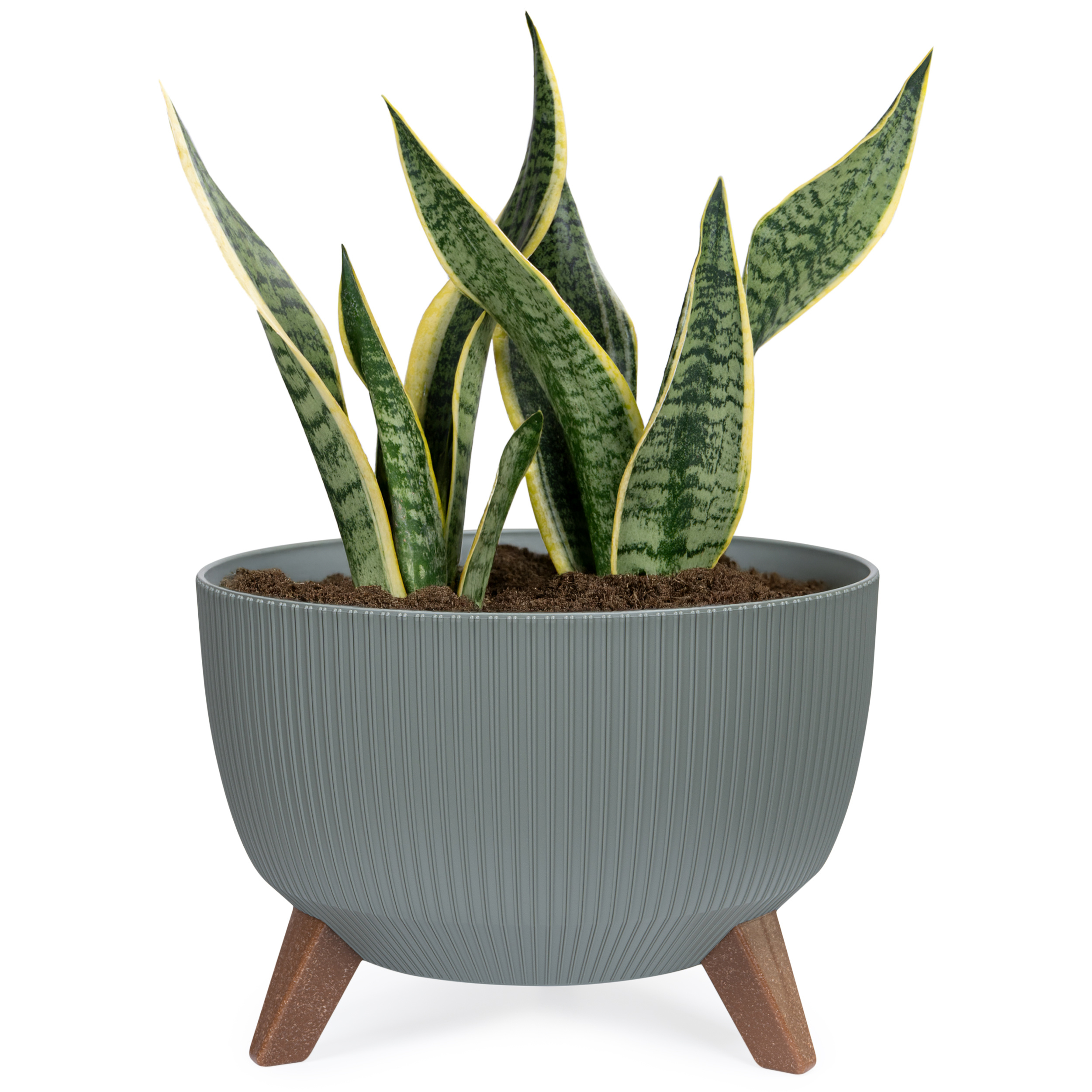 Image of Planter With Feet 33 Cm - Modern Plastic Flower Pot With Water Drainage, Weatherproof & Uv-resistant, Ideal For Garden & Terrace - In 6 Colors