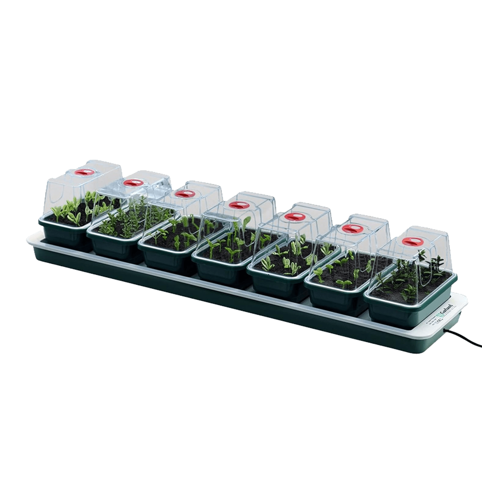 heated windowsill propagator   seed starter kit with 7 mini trays