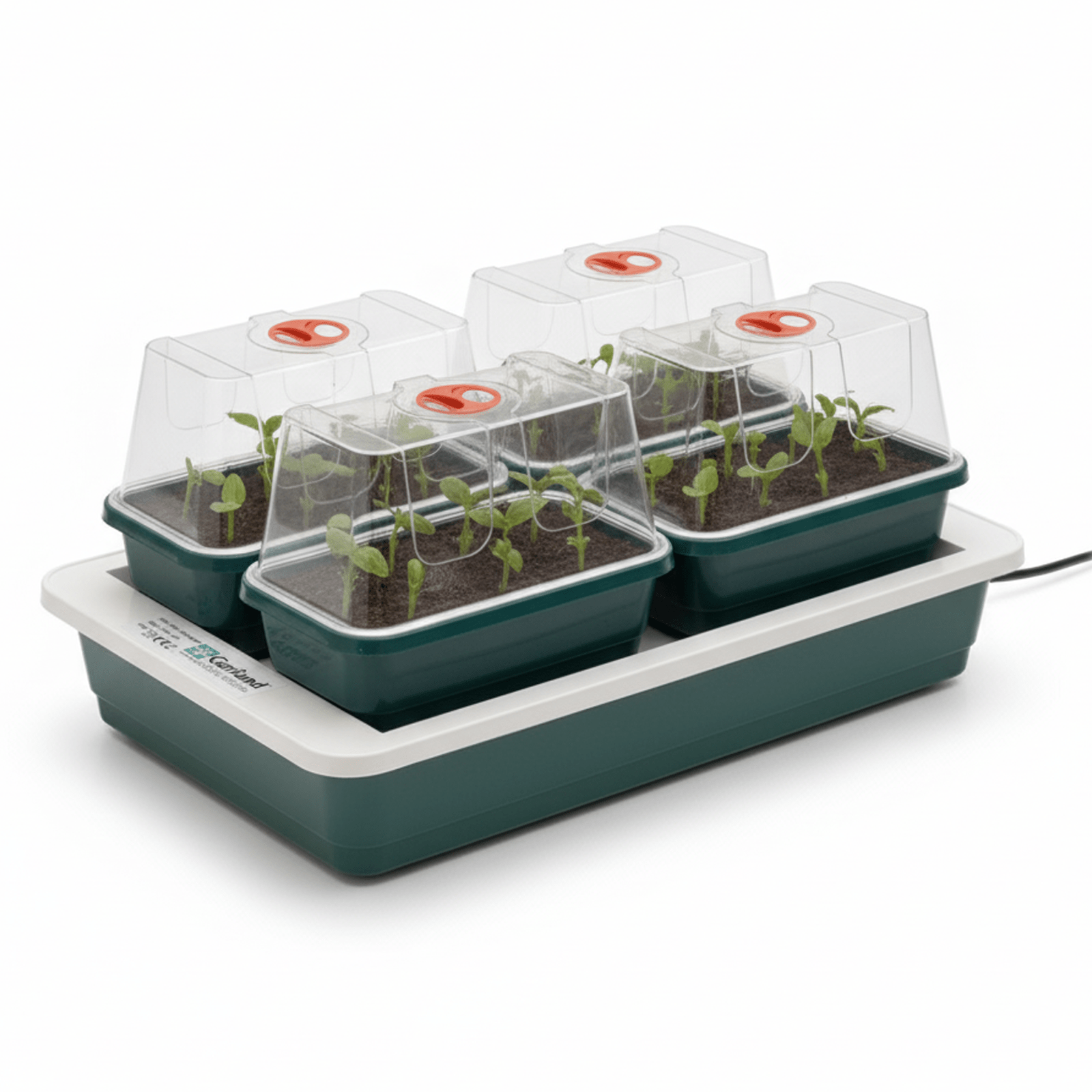   electric propagator heated seed starter with 4 mini trays and vented lids