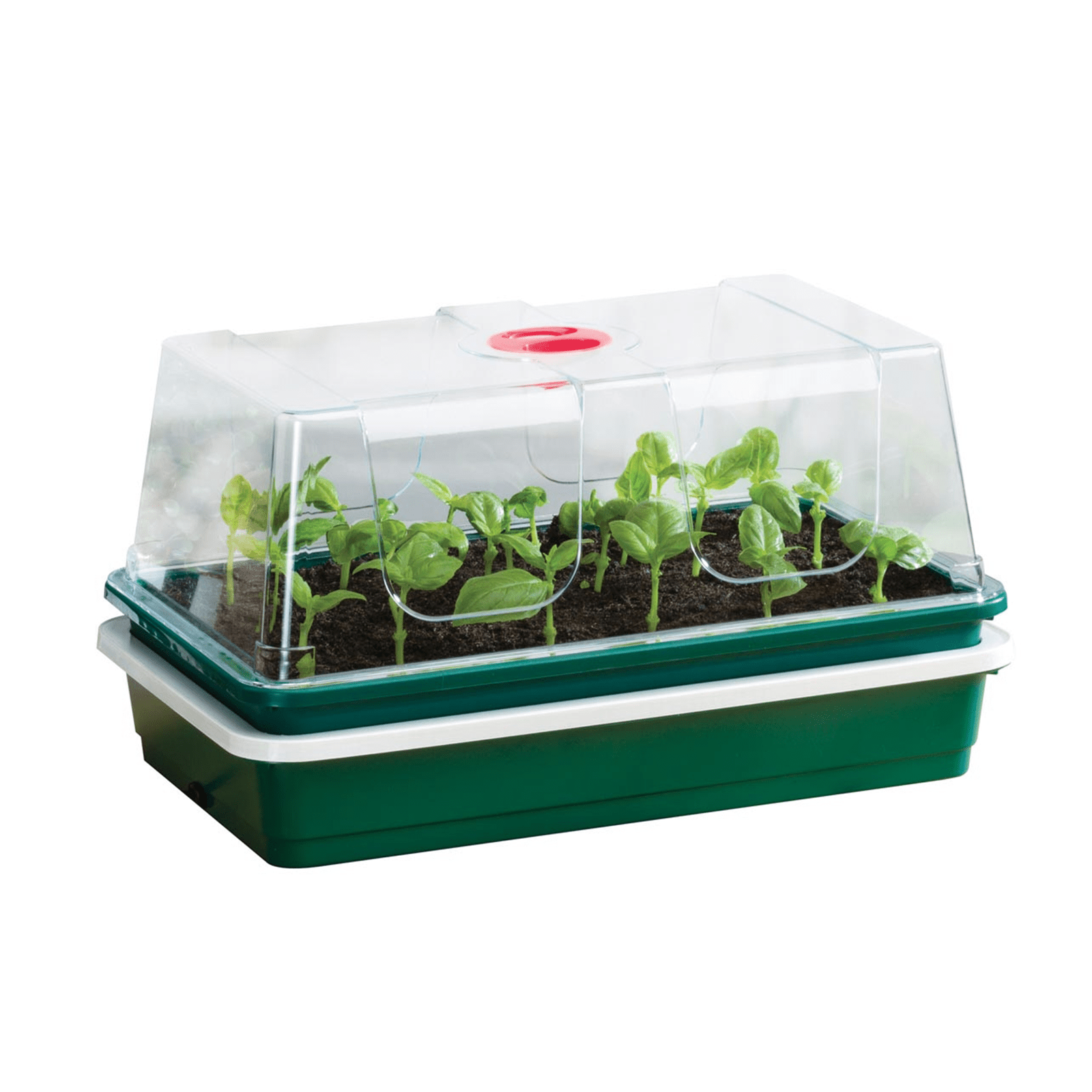 heated seed starter tray   electric propagator with dome lid