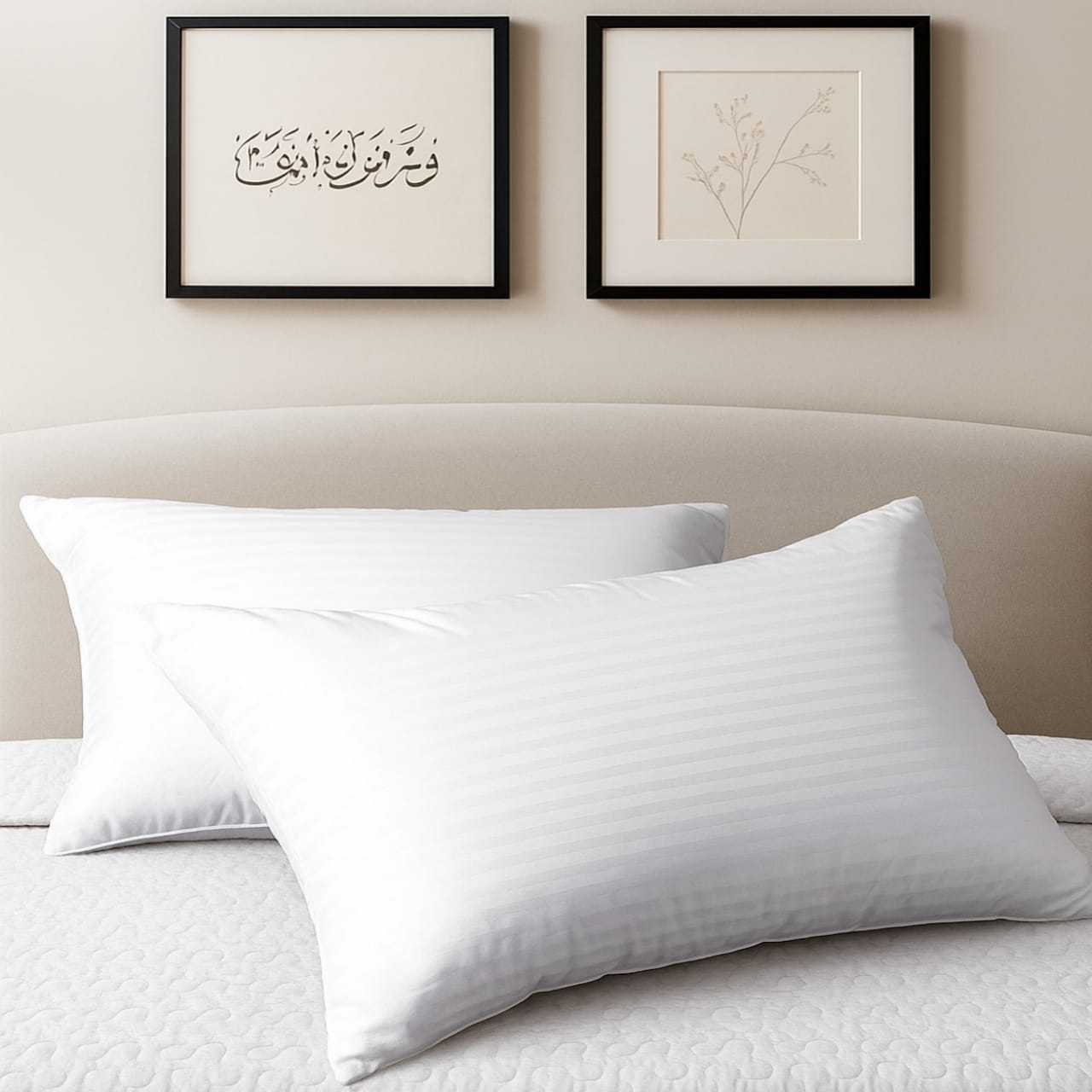 Divine Textiles - 2 BHS Stripe Pillow for Bed, Sofa & Living Room Decor – Soft Supportive Pillow for Everyday Comfort – Elegant Striped Design Enhances Bedroom Aesthetic – Durable, Easy Care & Long-Lasting Pillow for Home Interior Styling