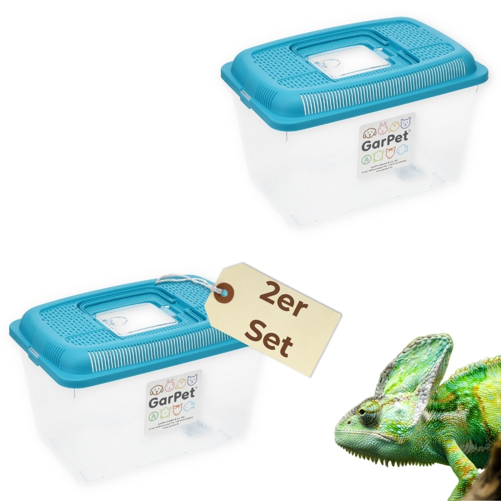 Image of Faunabox L Faunarium Transport Quarantine Box Animal Observation Prehistoric Crabs Hamsters Insects Box Plastic