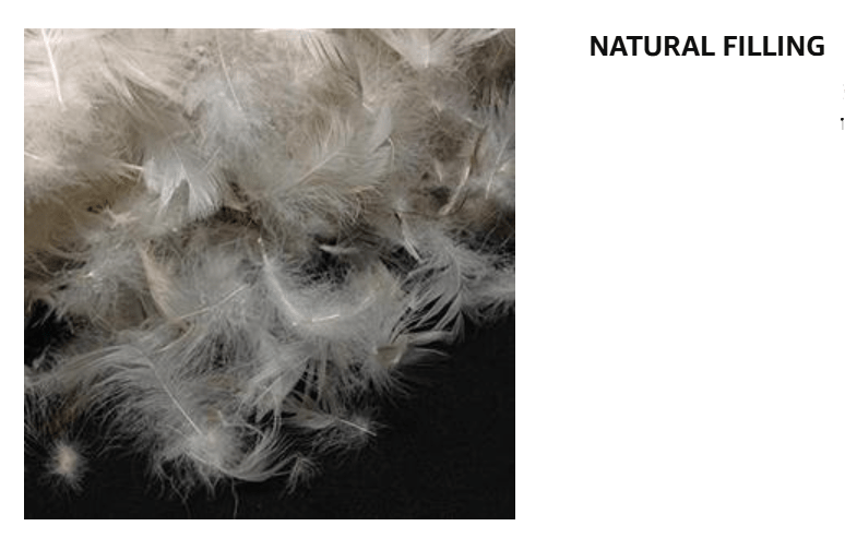 Duck Feather Pillows Pack of 1 and 2 Hotel Quality, Washable, Medium/Soft Support