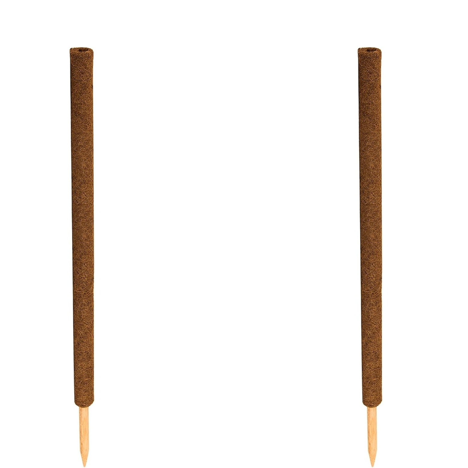 Coconut Plant Stick Trellis Support Monstera Coconut Stick