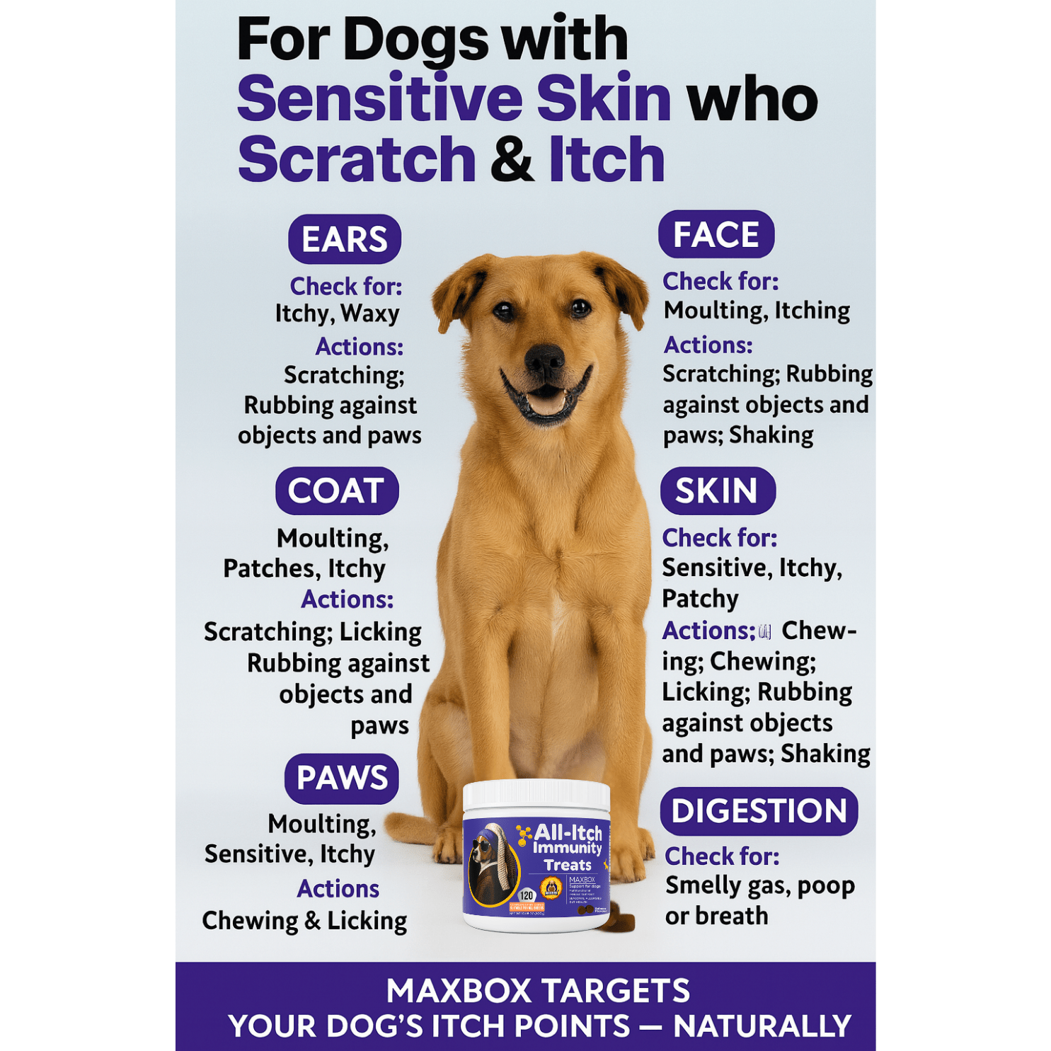skin relief   treats powerful dog itchy skin relief for itchy skin licking scratching soothe itchy paws ears skin coat and seasonal allergies   chews details 7