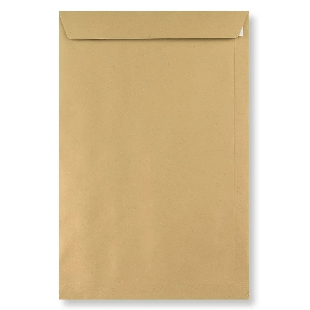 TEMU 250 Brown Manilla Envelopes | 15"x10" | Heavy Duty Mailing Envelopes | Office & Postal Supplies