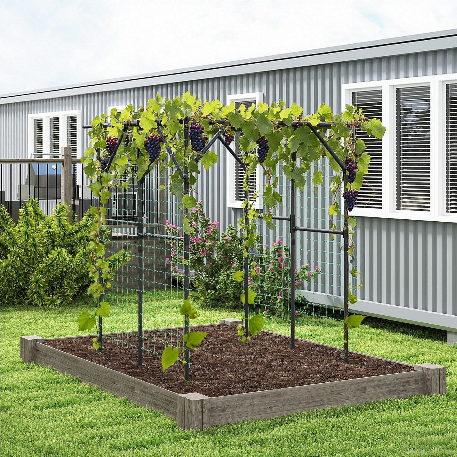 Image of Climbing Plant Trellis, Pe-coated Metal Plant Support, Large Climbing Arch, Gate Arch Grates, Garden Arch For Vegetables, Fruit, Flowers, 200 X 150 X 197 Cm, Black