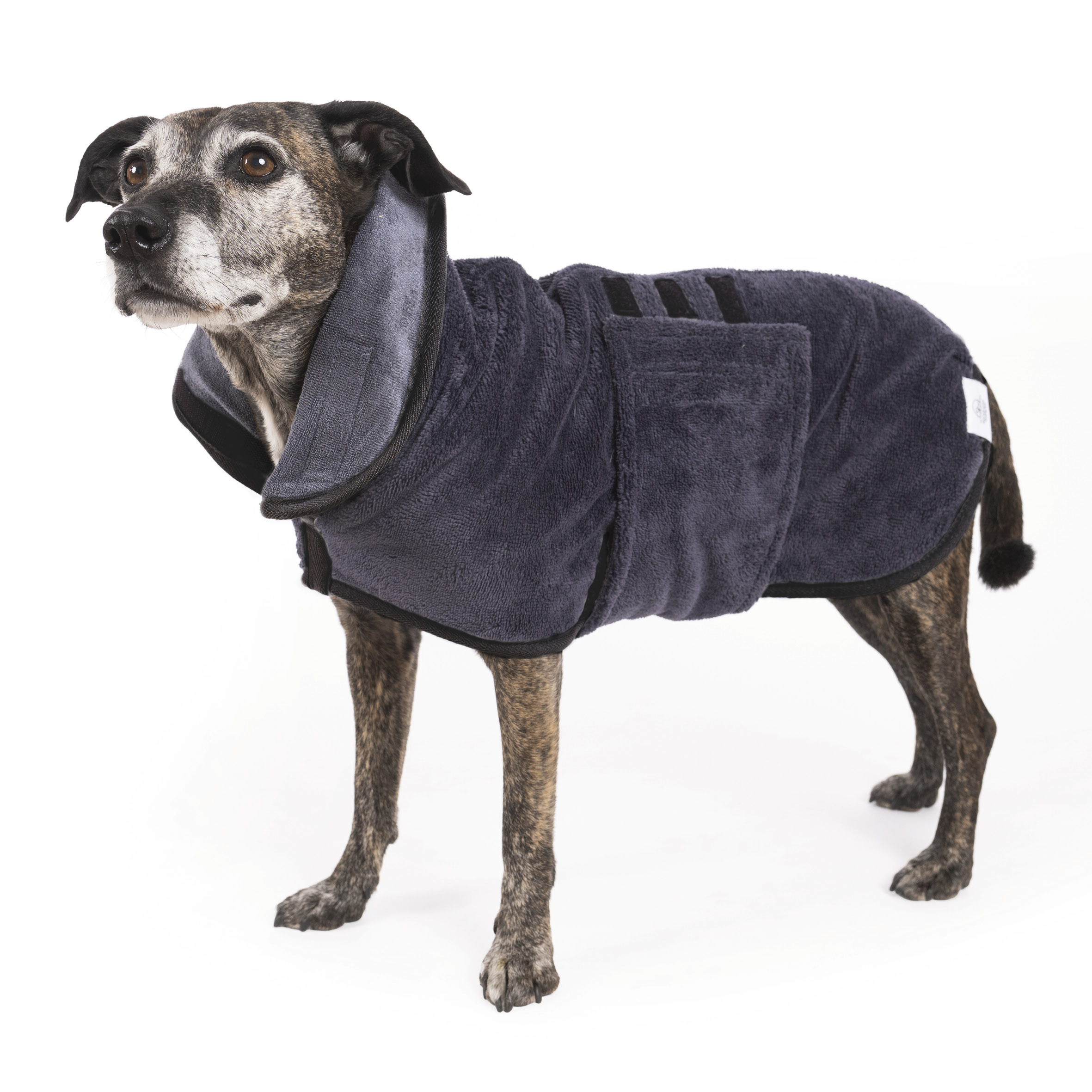 Image of Bathrobe Dog 2-layer Bathrobe For Large Dogs Medium-sized Dogs And Small Dogs I Bathrobe For Dogs Microfiber