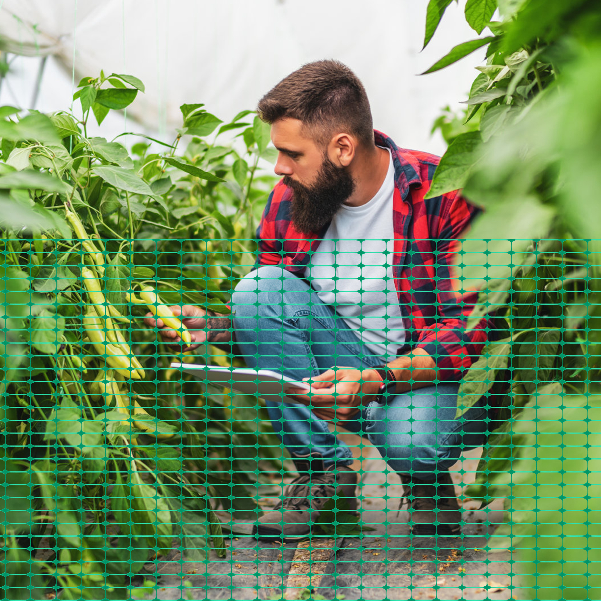 TEMU Ograja za Rezanje z Datumom 12. december 2023