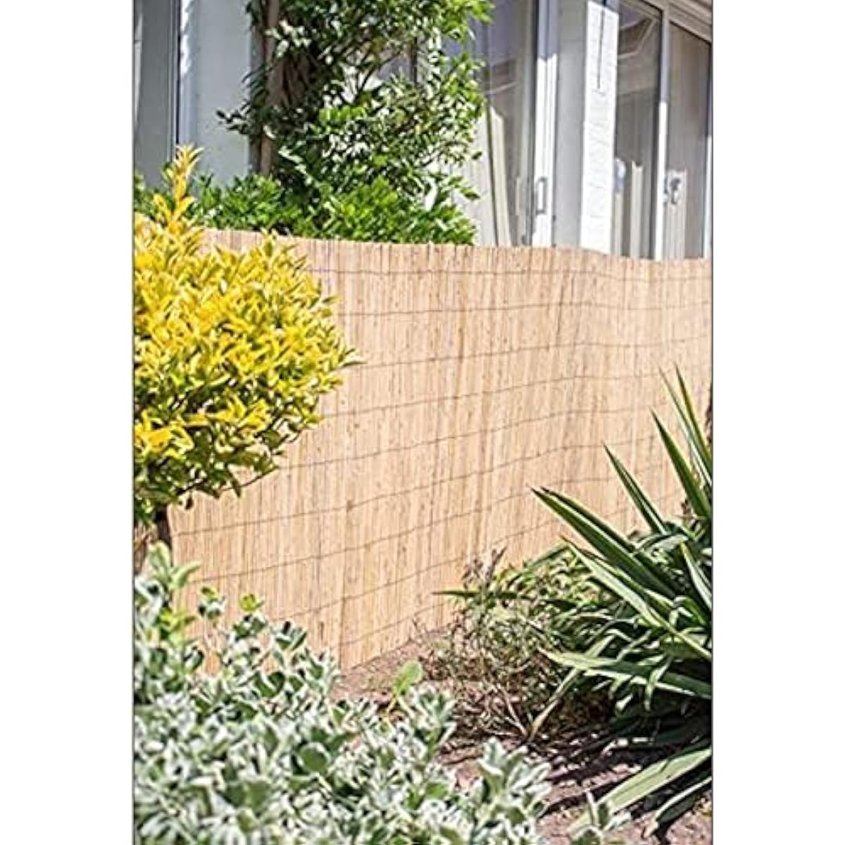 TEMU 120 cm x 500 cm en Bambou brise vue, clôture de jardin décorative extérieur pour jardin et terrasse, couverture de protection contre et - 120 x
