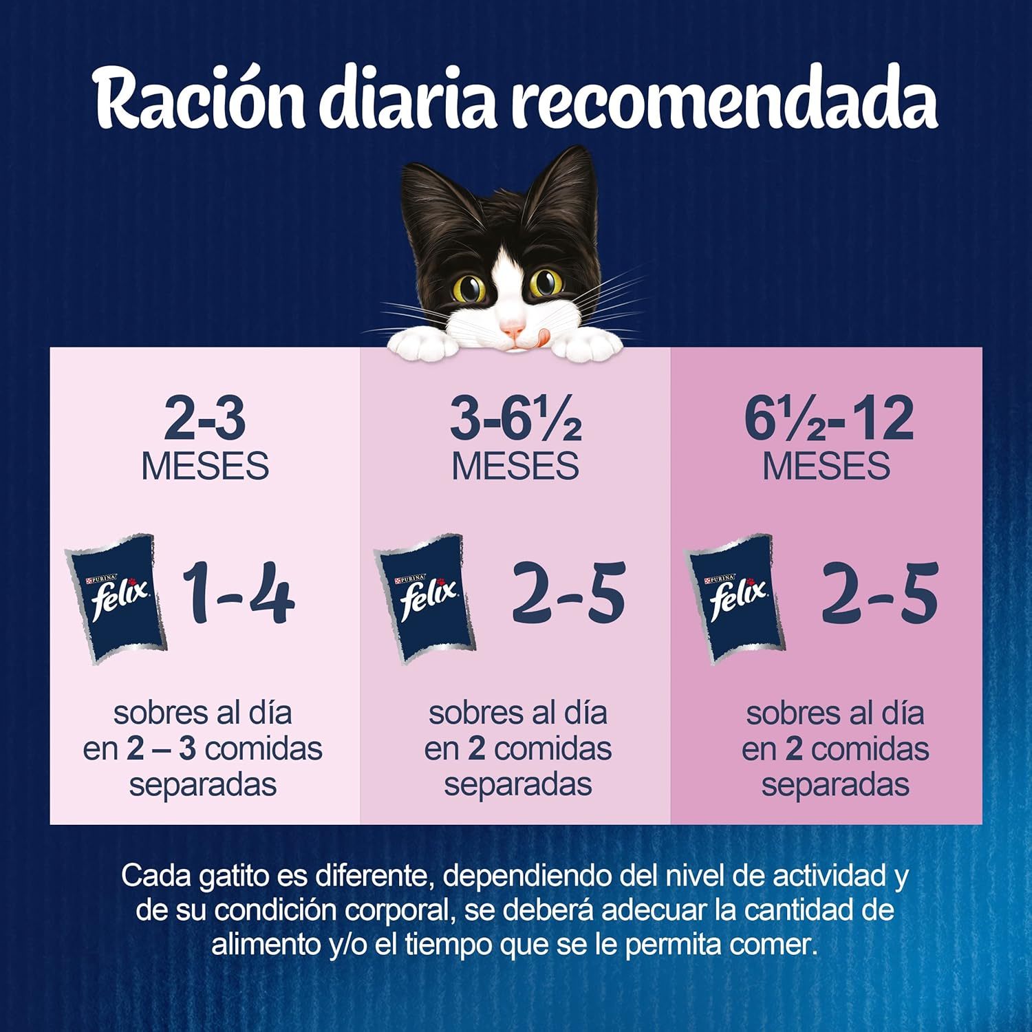 Sélections préférées du jeune Happy Fantastic en veau, poulet, saumon, thon et gelée de viande