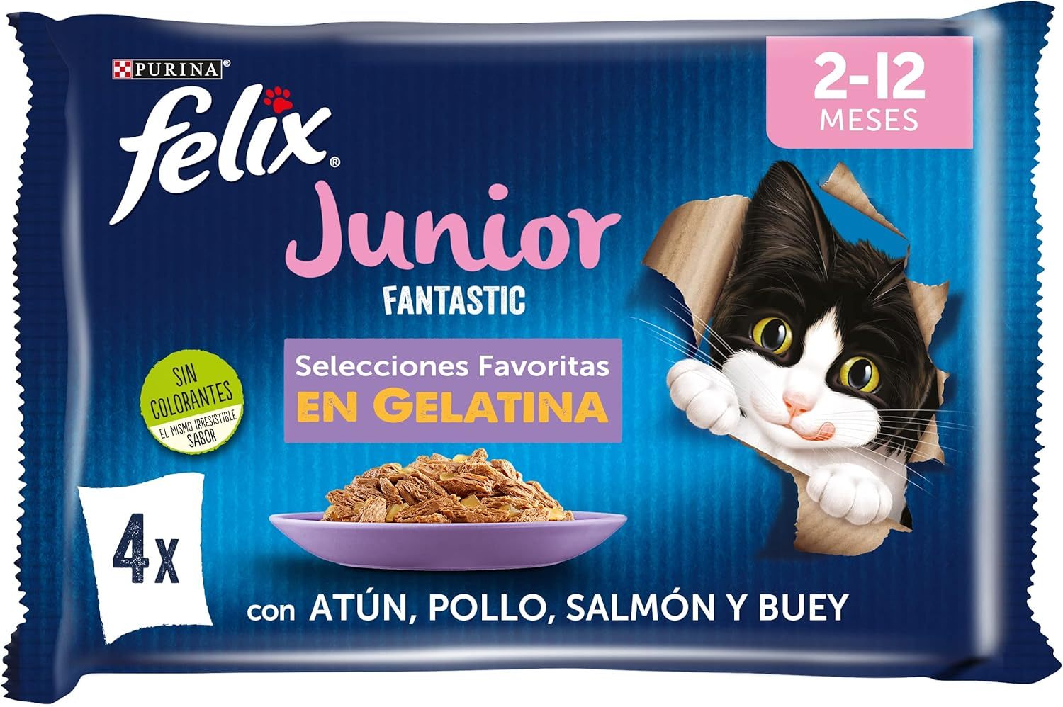 Sélections préférées du jeune Happy Fantastic en veau, poulet, saumon, thon et gelée de viande