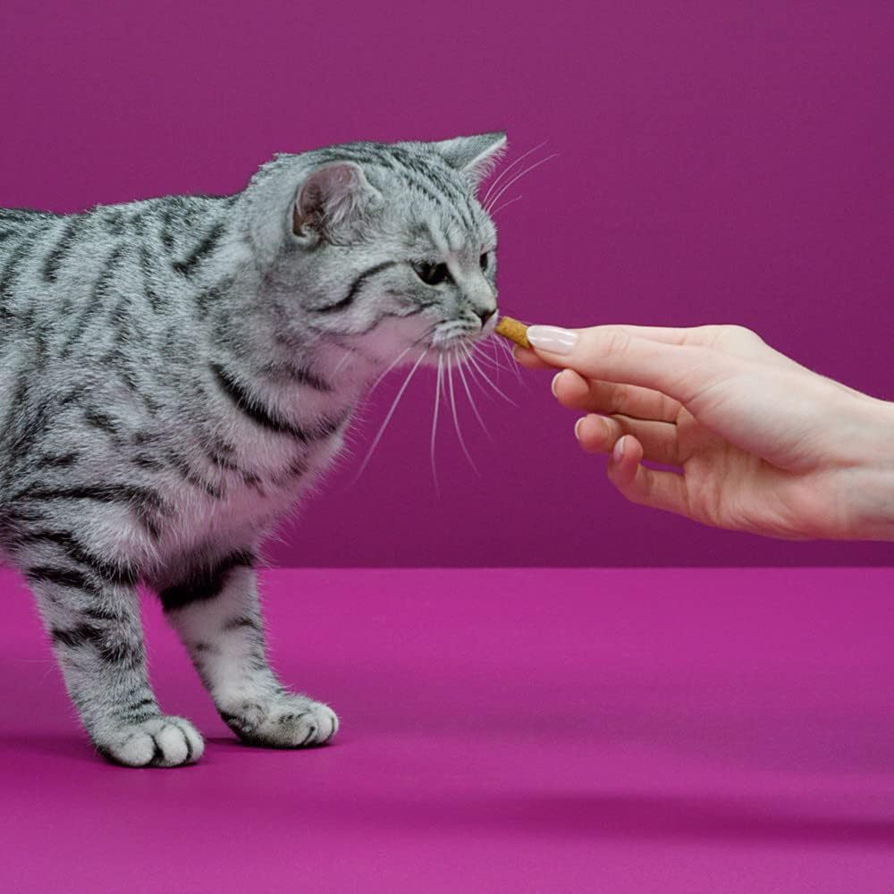 Temptations Whiskas, récompenses pour chats