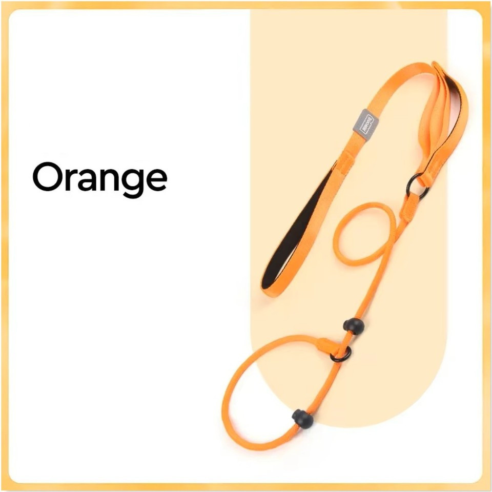 Chilimilii Double Handle Dog Slip Leash Adjustable Heavy Duty Lead