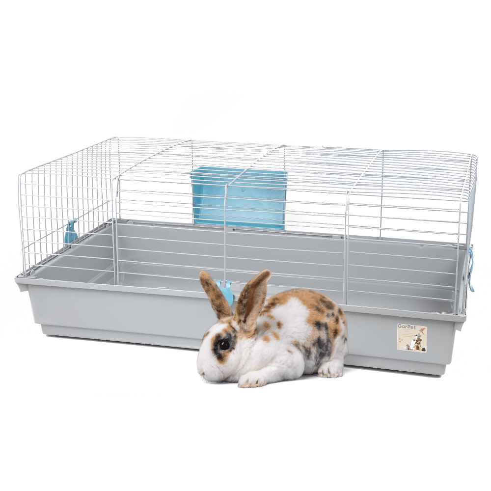 Image of Rabbit Hutch 100 Rabbits Accessories Dwarf Rabbit Hutch Guinea Pig Hutch Xl Rabbit Hutch Indoor Guinea Pig Accessories