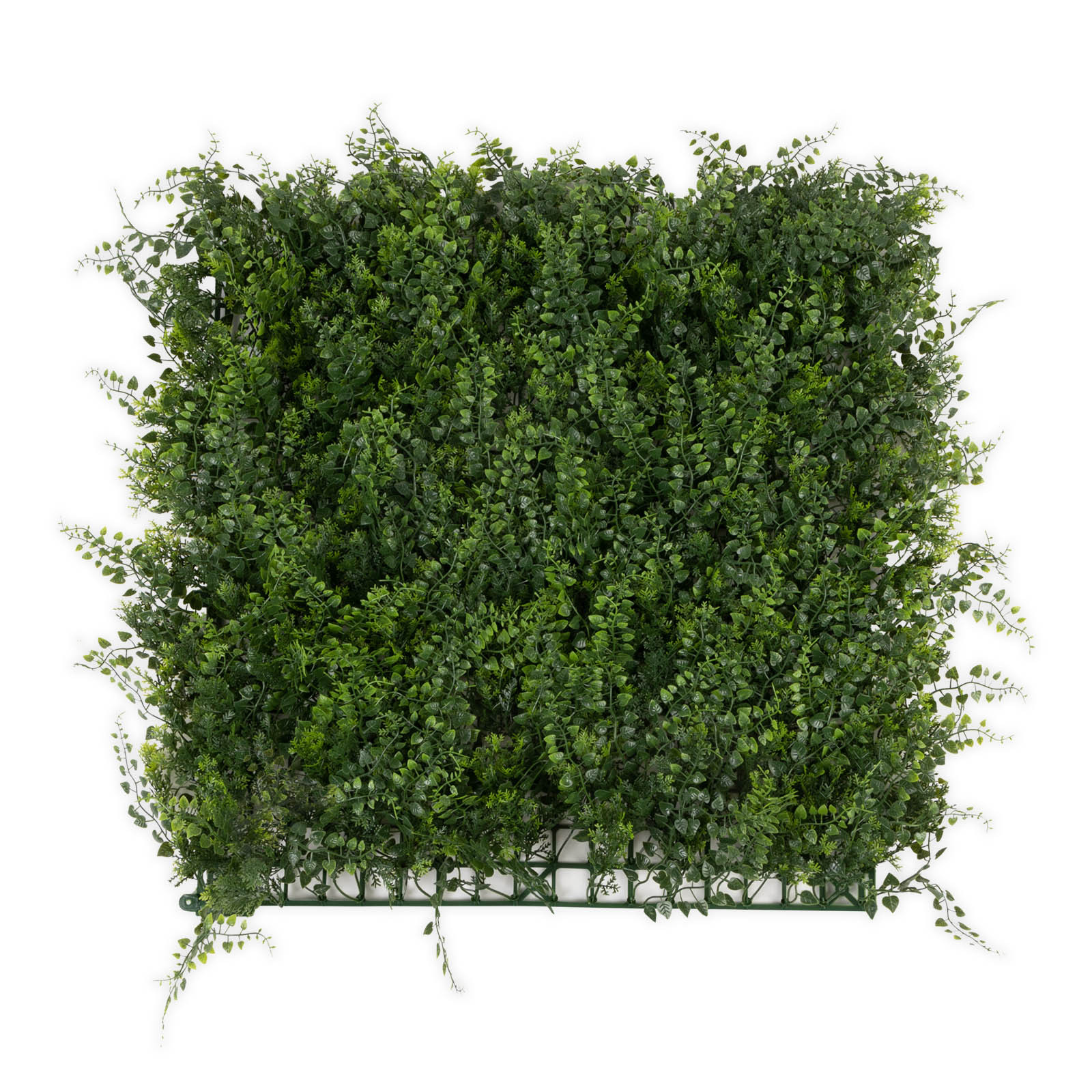 TEMU CARAT Plant Wall - Plantes artificielles pour montage mural - 50 X 50 Cm - - Décoration de plante artificielle pour mur, balcon et jardin -
