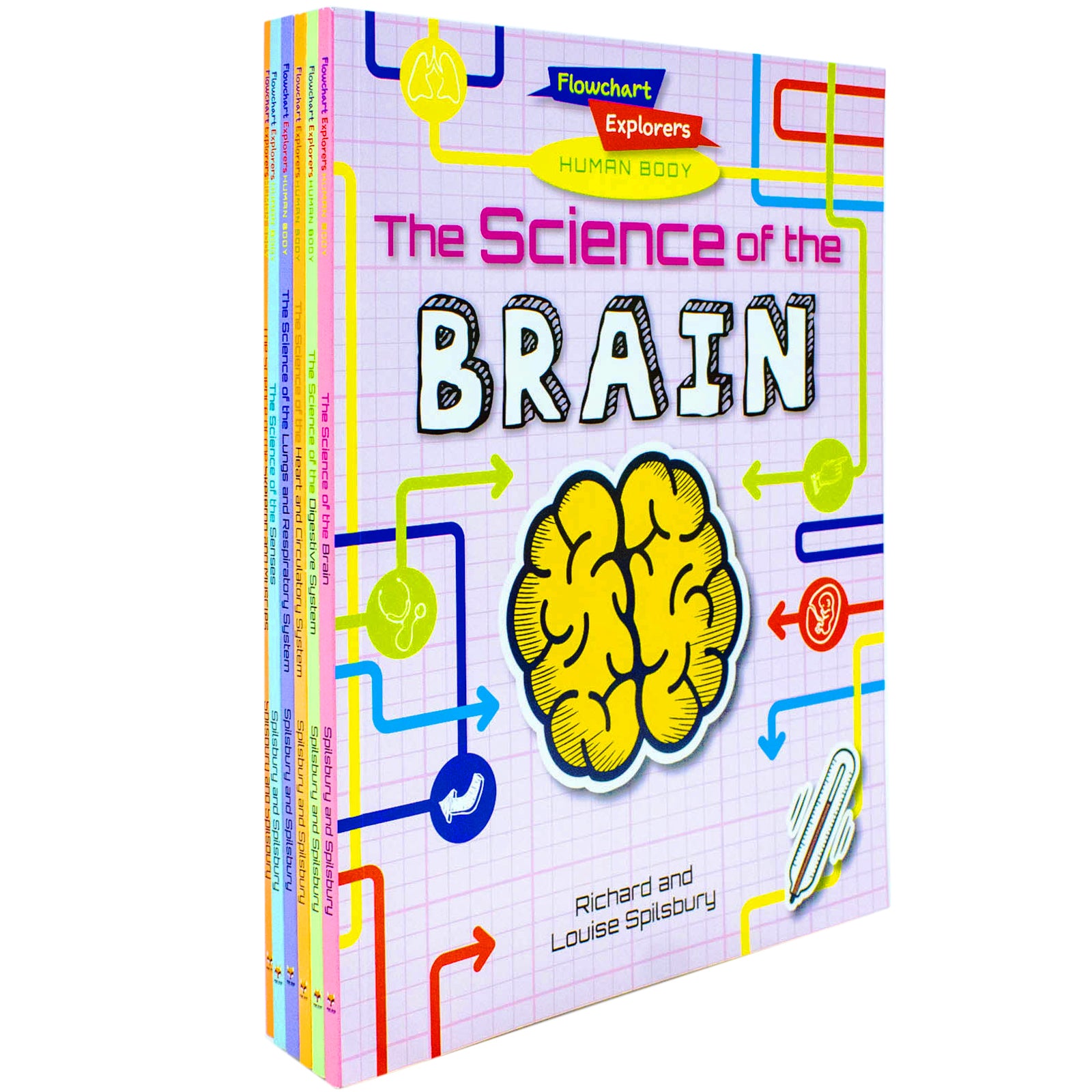 TEMU Flowchart Explorers Human Body Stem 6 Science Books Set: (brain, Digestive, Heart, Lungs, Senses, Skeleton)