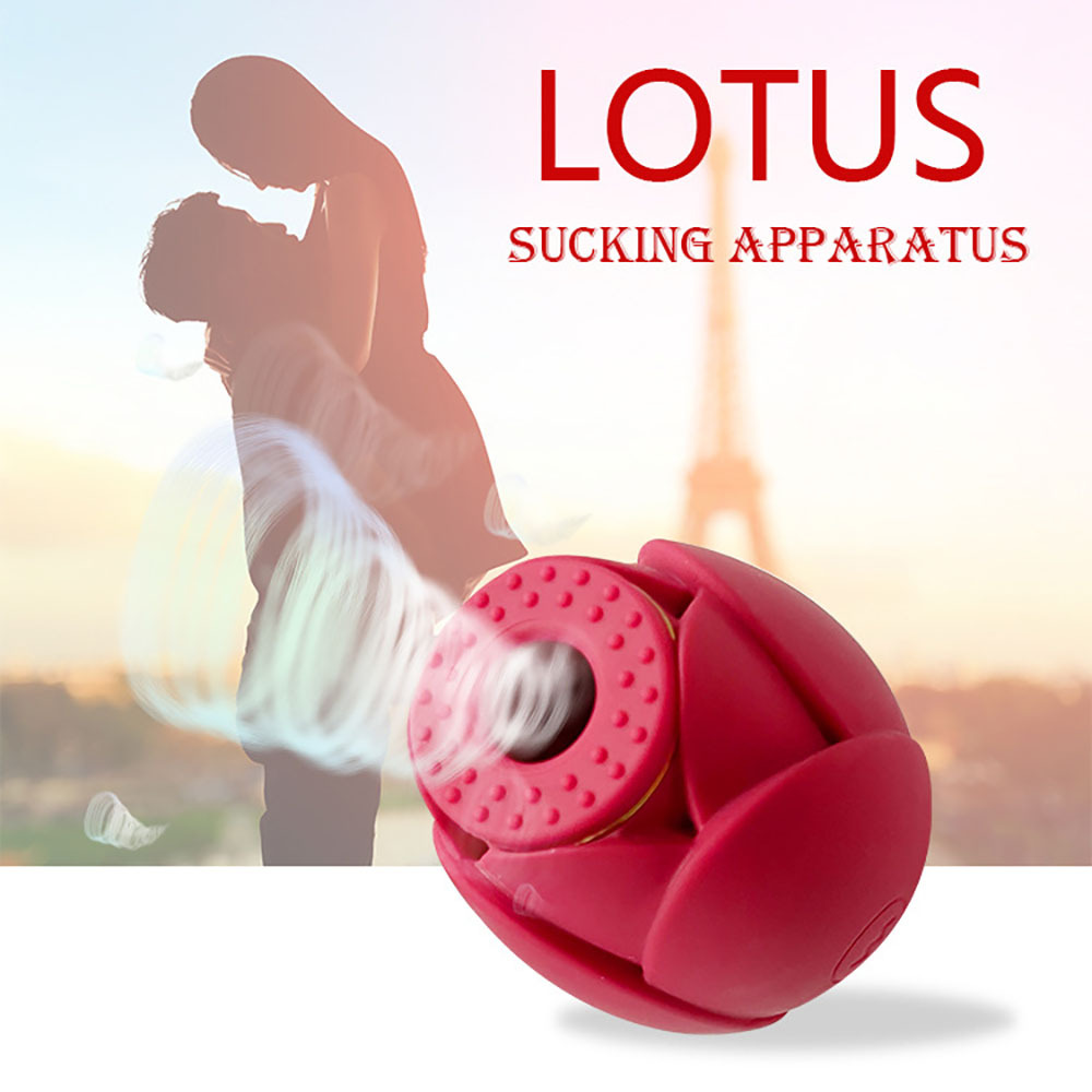 rosen-saugvibratoren für frauen sexspielzeug für erwachsene g-punkt-massagegerät für weibliche klitoris-  erotische spielzeuge mit 10     für frauen Produktdetails 4