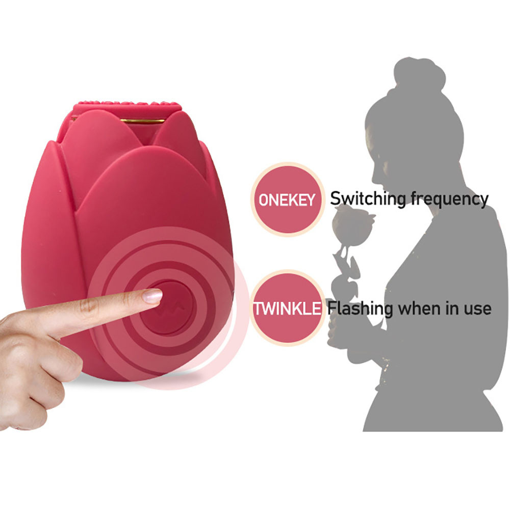 rosen-saugvibratoren für frauen sexspielzeug für erwachsene g-punkt-massagegerät für weibliche klitoris-  erotische spielzeuge mit 10     für frauen Produktdetails 2