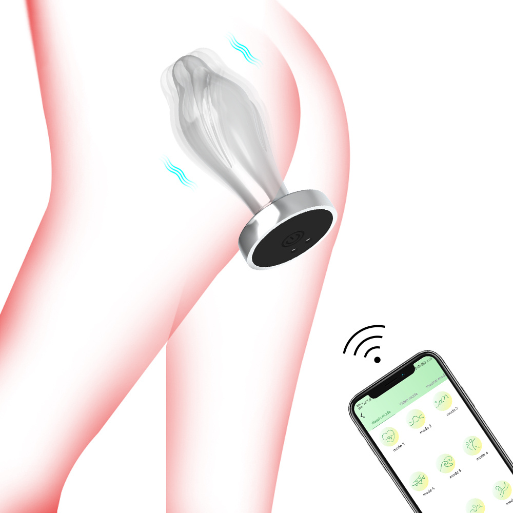 analvibrator-stecker, vibrationsprostata-app, handy-sexspielzeug aus edelstahl Produktdetails 1